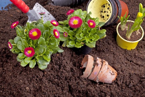 Garden waste and pricing estimate for a Bethnal Green front garden