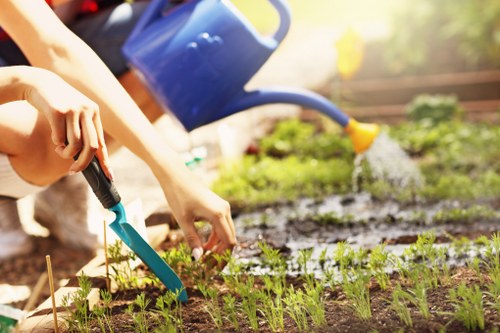 Gardeners Bethnal Green improving a city garden with plants and tidy borders