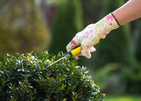 Landscaping ideas for Bethnal Green garden transformation