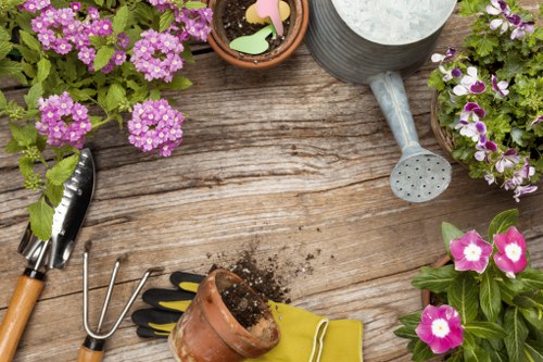 Professional gardeners Bethnal Green maintaining a healthy lawn and borders