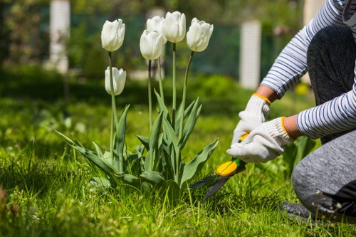 Customer raising a concern about gardening work