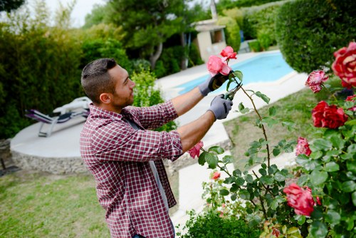 Manager assessing a gardening complaint record