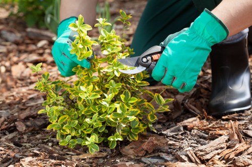 Gardeners caring for plants and pathways in a local East London garden