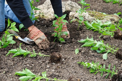 Waste handling and disposal compliance for gardeners