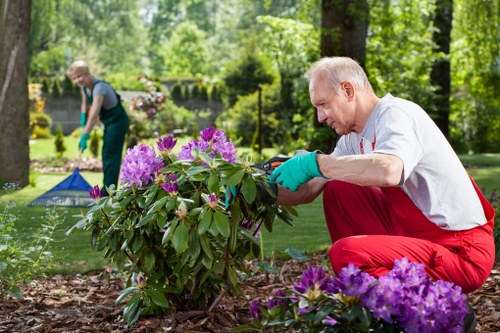 Booking and quotation terms for garden services