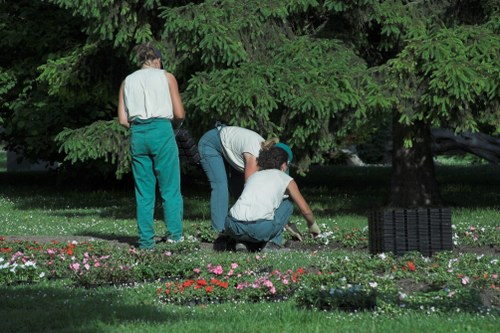 Insured gardening service in Bethnal Green with trained staff