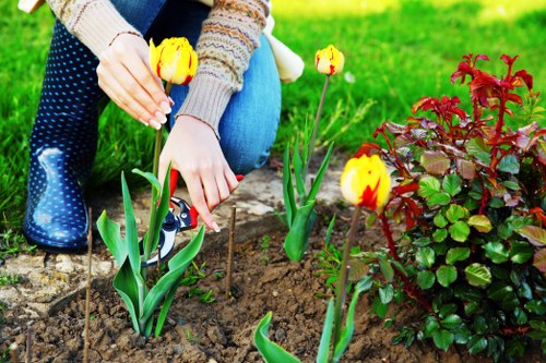 Seasonal planting and border care for a Bethnal Green garden