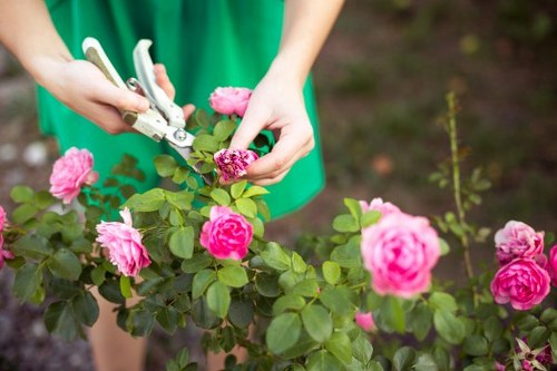 Transparent gardeners Bethnal Green pricing for varied property styles