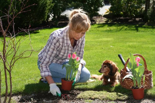 Soft landscaping plants suited to Bethnal Green outdoor spaces