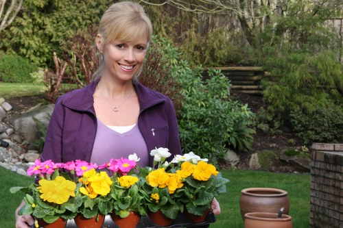 Free quote planning for a Bethnal Green garden service