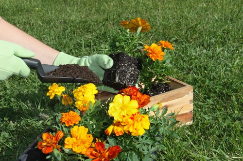 Trusted Bethnal Green gardeners maintaining a calm and well-kept outdoor space