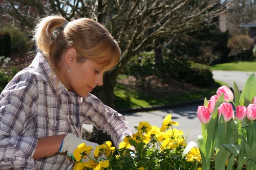 Local hedge cutting service for a London property