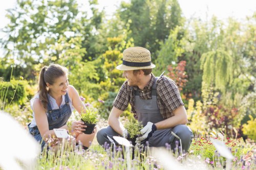 Seasonal planting and hard landscaping in a Bethnal Green garden
