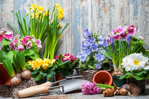 Screen-reader friendly website layout for local gardeners