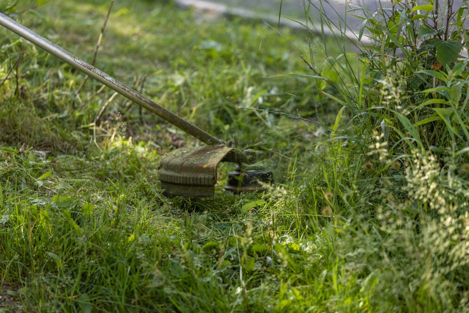 Garden maintenance near Cambridge Heath station for small yards