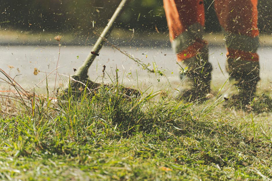 A close-up view of a garden with a focus on the maintaining tools and lush greenery. In the foreground, there is a manual grass trimmer or shears partially visible among the dense grass and plants, wh