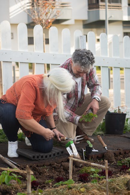 Two individuals are engaged in garden maintenance within a shared green space at Weavers Fields, with a white picket fence and modern apartment buildings visible in the background. They are positioned